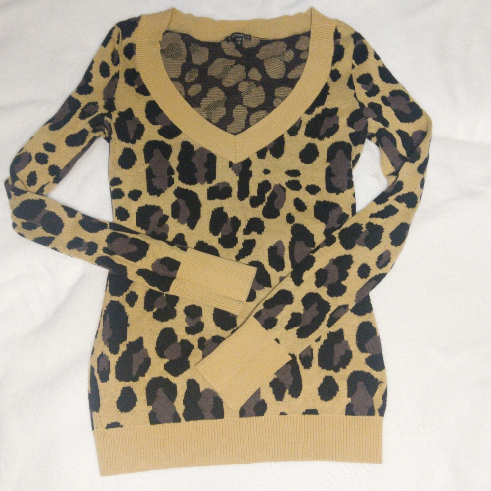 Express Animal Print V-Neck Sweater